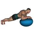 Plank - Fitness Ball